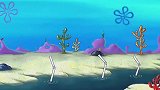 海绵宝宝第11季：海绵宝宝带着蛤蜊隐居了，他们在高压线上玩