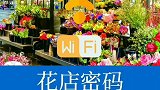 WiFi密码大全，教你一招走到哪里都有网络！你都知道了吗