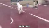 别说你什么都懂，做人要谦虚