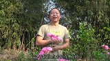 型男喜提新车，全景天窗加豪华真皮座椅，开出去绝对是全村最靓的