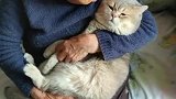 猫：奶奶我不冷，快放我下来！