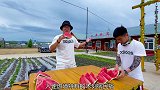 7、8月呼伦贝尔怎么玩？当然自驾游最爽最自在，赶快收藏这篇保姆攻略吧！呼伦贝尔 自驾游 旅行大玩家
