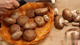 香菇炖豆腐越炖越入味，上桌香气四溢，看完又学会一道下饭菜