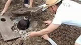 原来电视中活埋人的戏是这样拍的