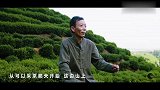 6旬大爷赤手翻炒正宗龙井茶，如今濒临失传，重金难求！