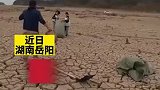 市民自发清理沉积多年垃圾，废弃轮胎渔网等装了七八车