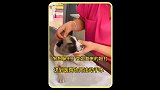 小狗莫名其妙的遭人殴打，没想到好心男子带它去医院却无法动手术