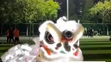 高校操场遇见“发光狮子”，当事人想宣传醒狮文化