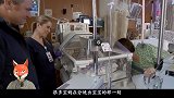 宝宝出生后，被医生抱走的神秘6分钟，都经历了什么？看完才明白