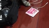 猫：铲屎的，快把钱拿去给我买小鱼干！