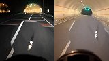 车兔赛跑？高速隧道前兔子受惊领跑小轿车 小腿抡圆跑得比车还快