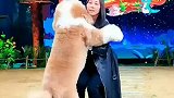 他也是为这个家的一份子