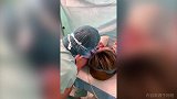拉拉小手亲小脸儿 女儿出生卡瓦尼再度体验为人父的喜悦