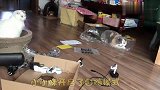 猫咪不爱喝水，主人把喷泉搬回家，没想到却被小短腿当成洗脚盆