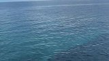 锡基霍尔爱马仕蓝的大海