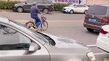 大爷遛狗，狗遛母鸡