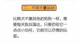 testaaaaa喜欢比熊的点赞