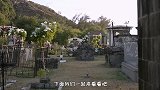 美国“水葬”比火葬还残忍？尸体瞬间变成液体，镜头记录全程