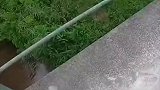 终究失望的离开，你们在期待什么