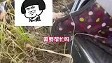 男子骑车摔倒，不顾伤情求助女孩拍照发朋友圈