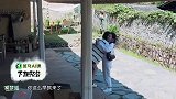 饺子多受明星欢迎？奚梦瑶化身女儿奴，直言：是骗我生女儿的典型