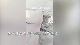 男子路边停车遇狗扒车门，怎么赶都赶不走，下车一看惊叹果然有事