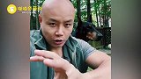 乐嘉回应冯绍峰赵丽颖离婚！曝2人真实原因？还曝黄晓明夫妇近况