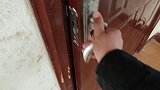 拉拉和金毛精力太旺盛，拿着打狗棍逼着它们围着菜园跑，累到崩溃