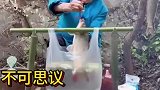 塑料袋水煮鱼，不可思议