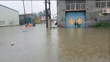 爆新鲜-20160719-暴雨淹没街道 邯郸消防紧急救援被困群众