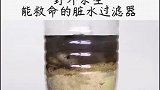 野外求生必备的净水方法来了，一起来看看吧