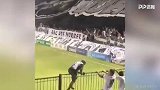 看球不能太猛烈！老哥坐围栏上为主队助威差点掉下去