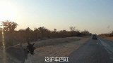 津巴布韦的四缸驴车【自驾环球】