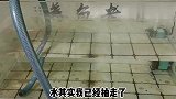 终于决定给小原生鱼更换鱼缸，捞鱼的感觉真爽