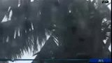 100316飓风重创斐济 全国宵禁延长