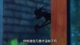 究竟住几楼才没蚊子