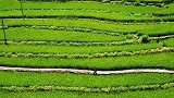 如果你有假期，你想来这样的地方感受世外桃源的氛围