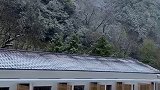 今天院子里下雪了，我打算约上三五好友，一起围炉，吃点烧烤，喝点小酒！#向往的生活 #带ta去旅行