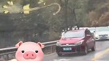 从山上下来的车都带着雪人，不堆一个都不合群