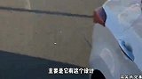 老板啊，你的良心不会痛吗，这是美鱼吗这是鲶鱼精吧