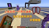 我的世界联机272：上线发现迪哥，急忙跟他哭穷，求借鞘翅