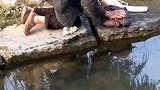 一个妈妈可以养十个孩子，而十个孩子养不了一个妈妈，可怜的老奶奶