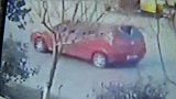 陕西西安：盗窃变抢劫！偷狗被拦，男子直接开车撞向狗主人
