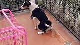 小伙子怎么又进来了
