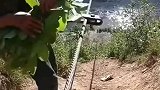 大哥这神操作我服，拿点树叶绕一下，手套钱都省了！