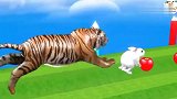 儿童早教益智动画，小白兔被老虎疯狂追赶能逃跑了吗