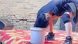 教你一招没吹风机的时候如何快速吹干头发