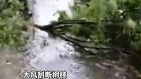 暴雨中有你们 真好！平山交警暴雨中 确保群众安全。温暖