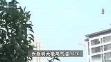 冷空气来袭4预警齐发，多地将猛降16℃，这地降雪下到“发紫”