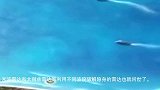 女博士挽狂澜救利器，显微镜下焊接千根细丝，不愧撑起天眼半边天